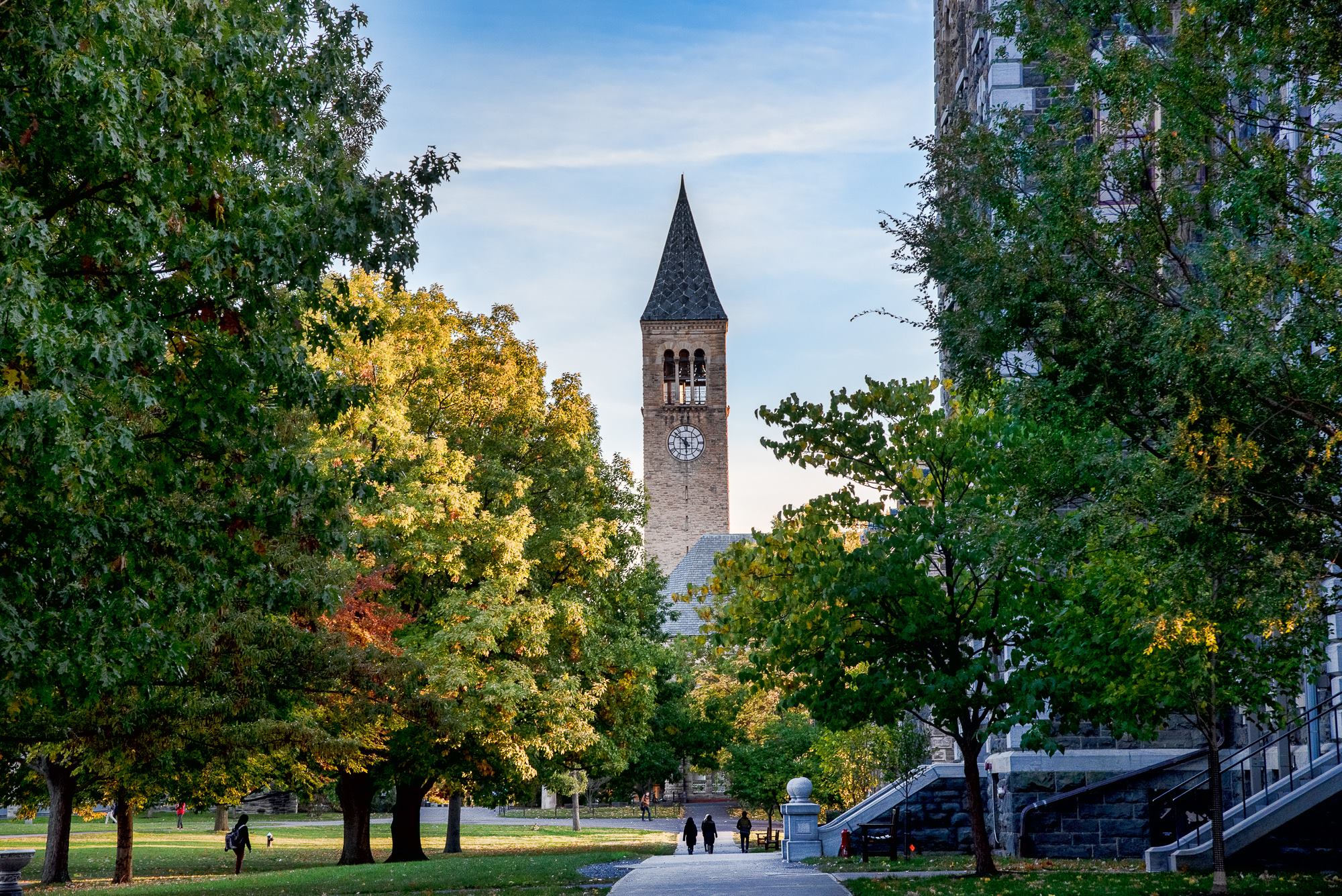 Cornell University